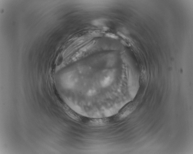 X0000075810381200610151436