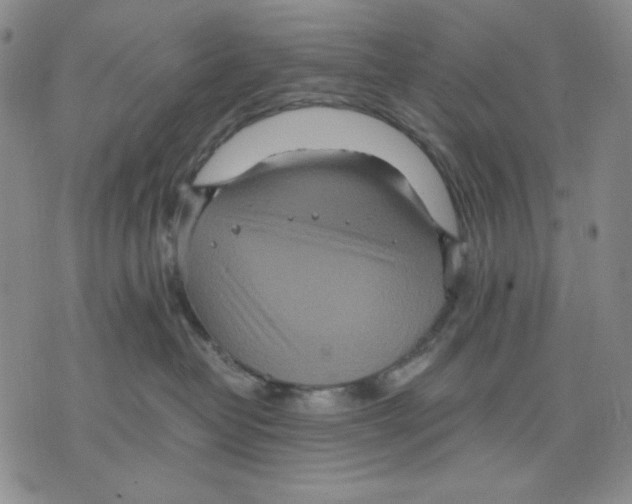 X0000075810382200610151436