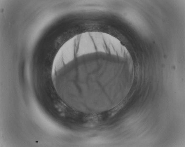 X0000075810383200610151436