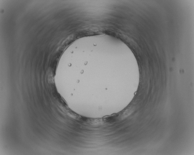 X0000075810384200610151436