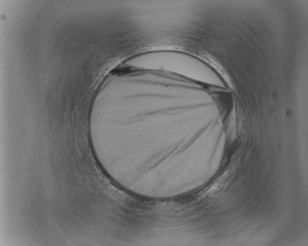 X0000075810385200610151435