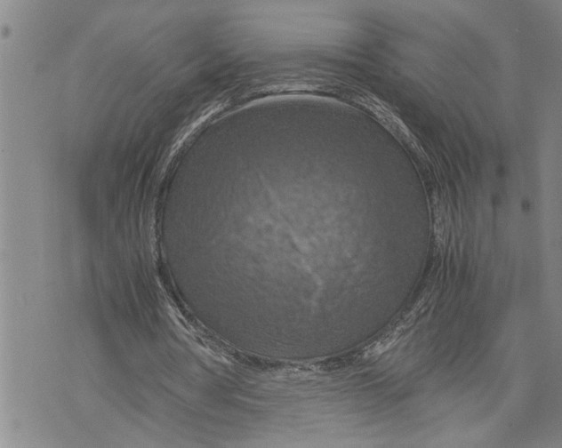 X0000075810386200610151435