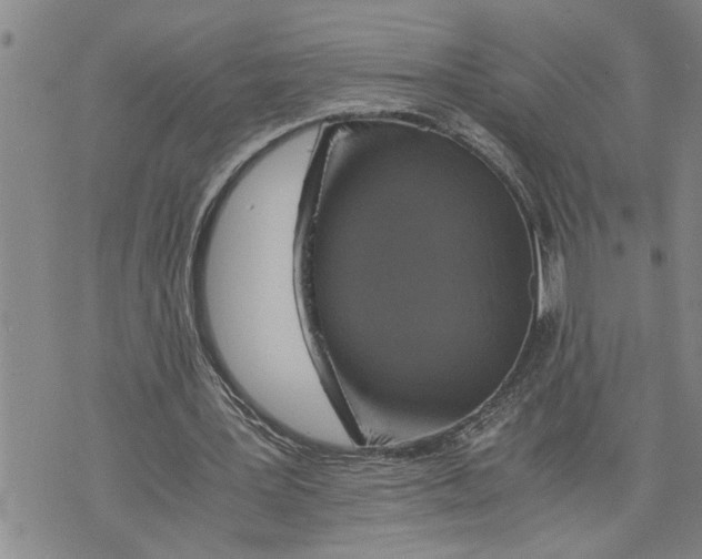 X0000075810387200610151435