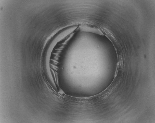 X0000075810388200610151435