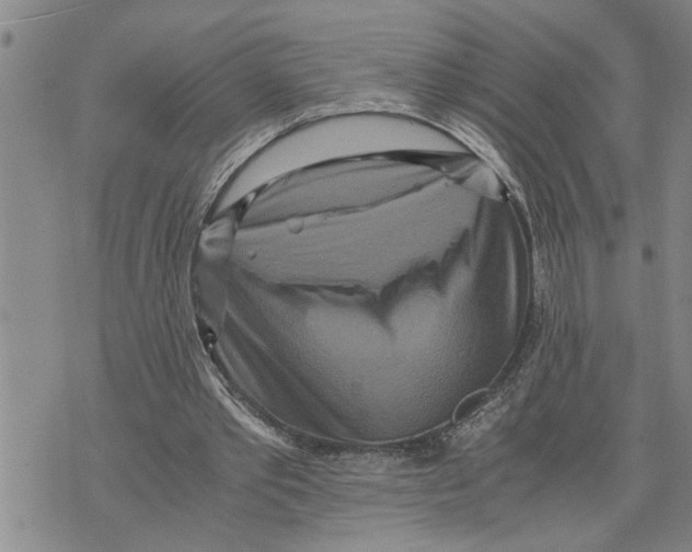 X0000075810389200610151435