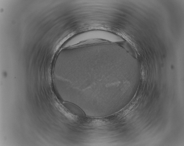 X0000075810390200610151435