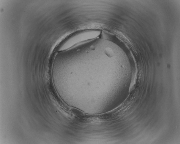 X0000075810392200610151435