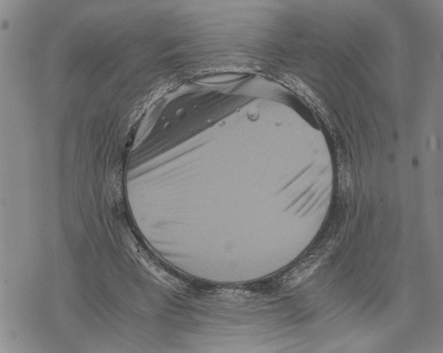 X0000075810393200610151435