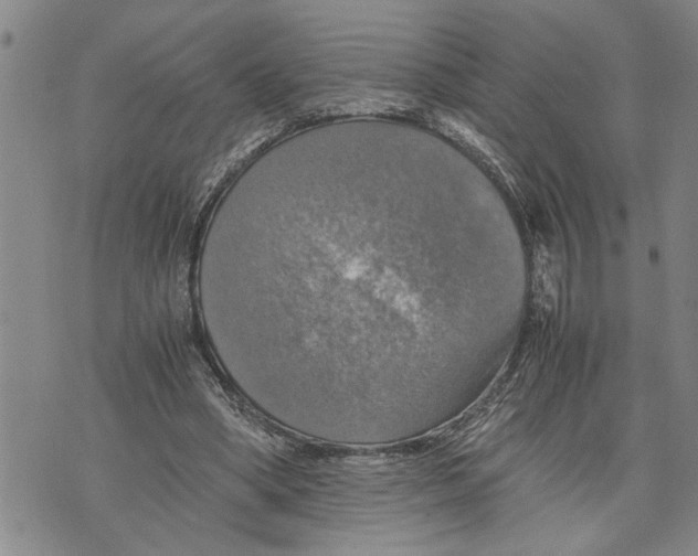 X0000075810394200610151435