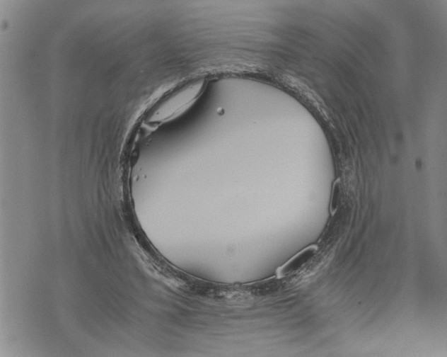 X0000075810395200610151435