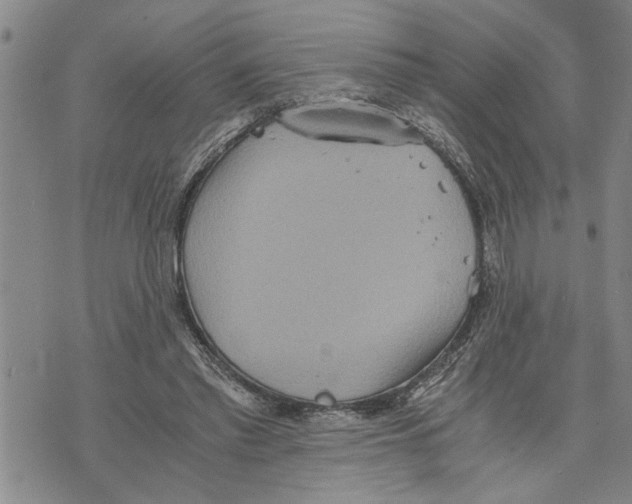 X0000075810397200610151435