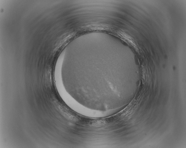 X0000075810398200610151435