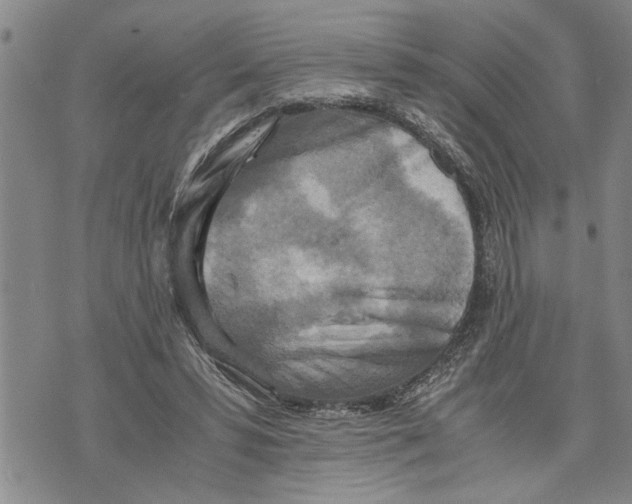 X0000075810399200610151435