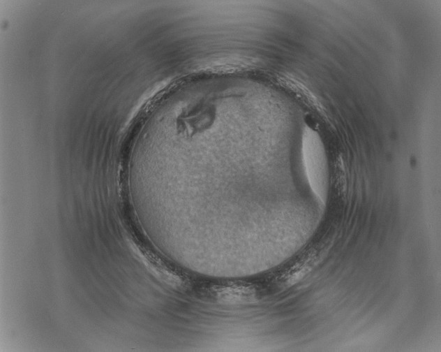 X0000075810400200610151435