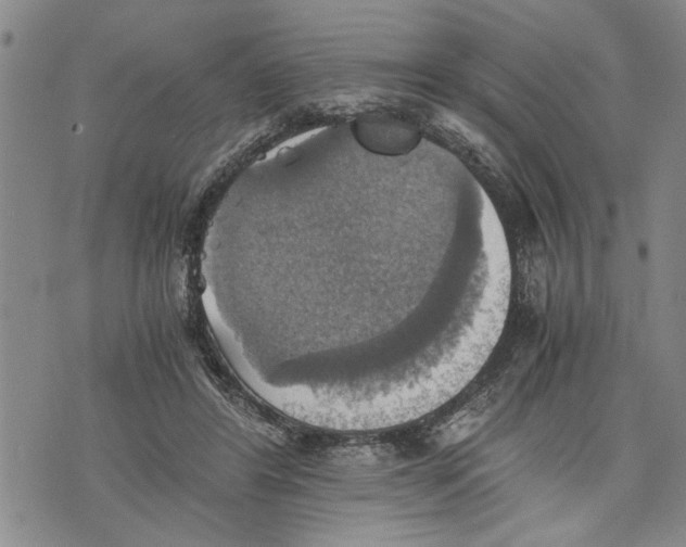 X0000075810404200610151435