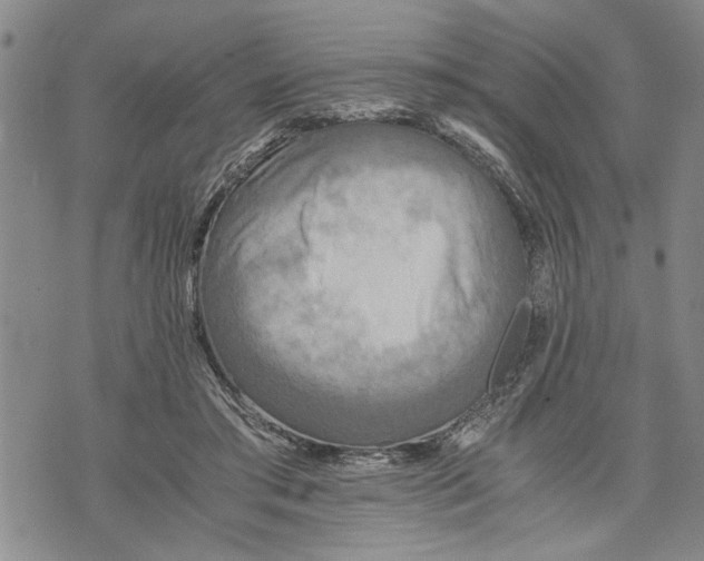 X0000075810405200610151435