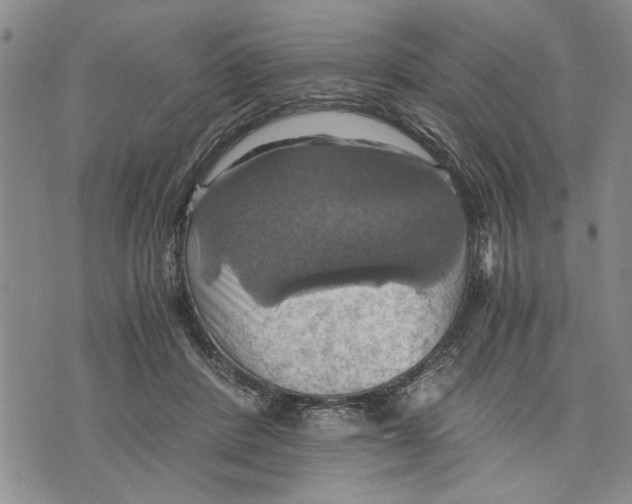 X0000075810408200610151435