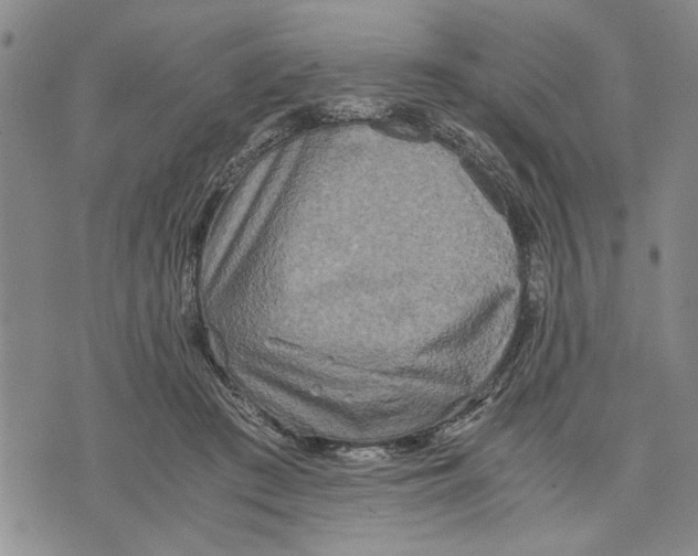 X0000075810409200610151435