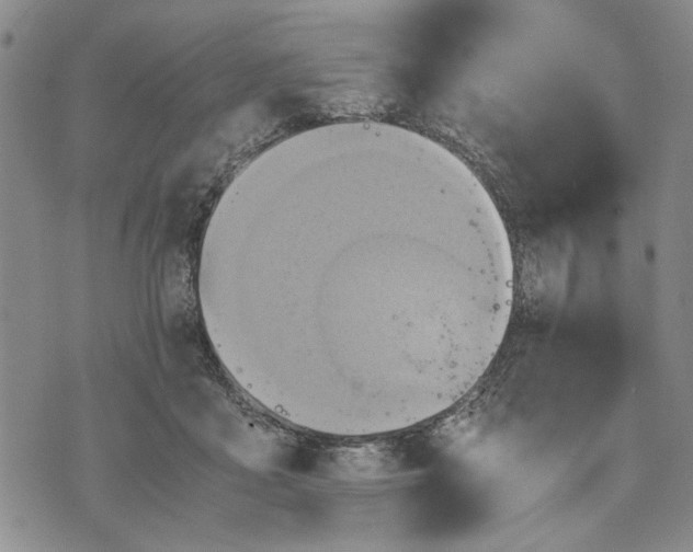 X0000075810411200610151435