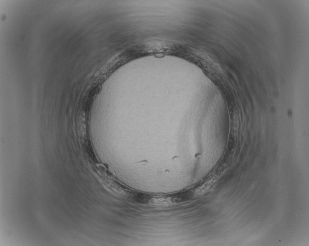 X0000075810413200610151435