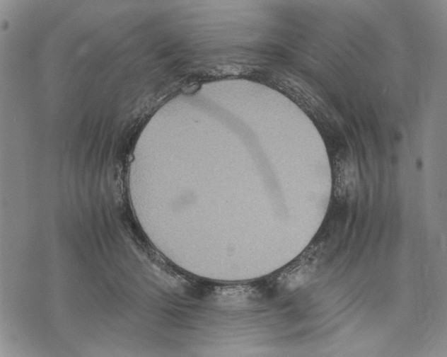 X0000075810414200610151435