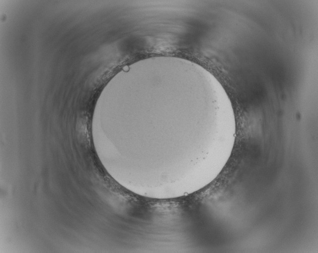 X0000075810415200610151435