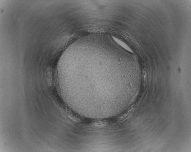 X0000075810416200610151435