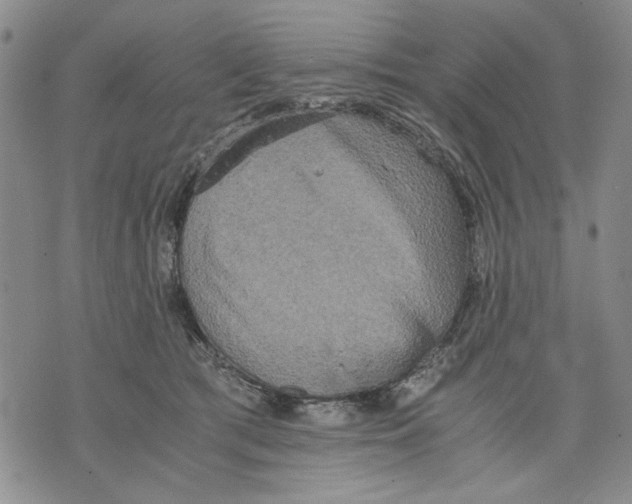 X0000075810417200610151435