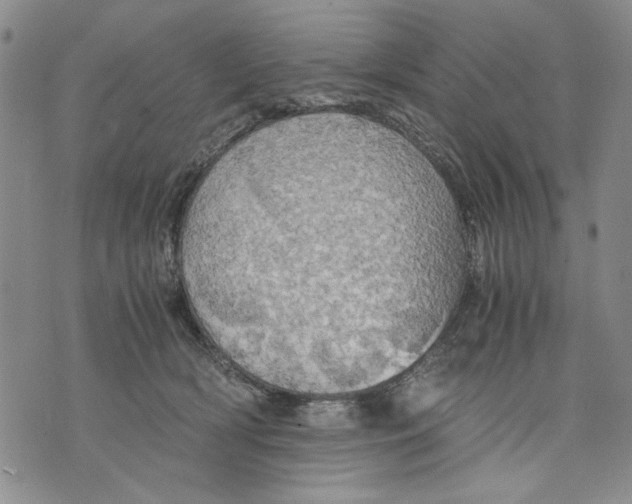 X0000075810418200610151435