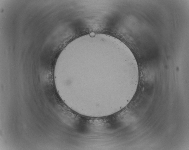 X0000075810419200610151435