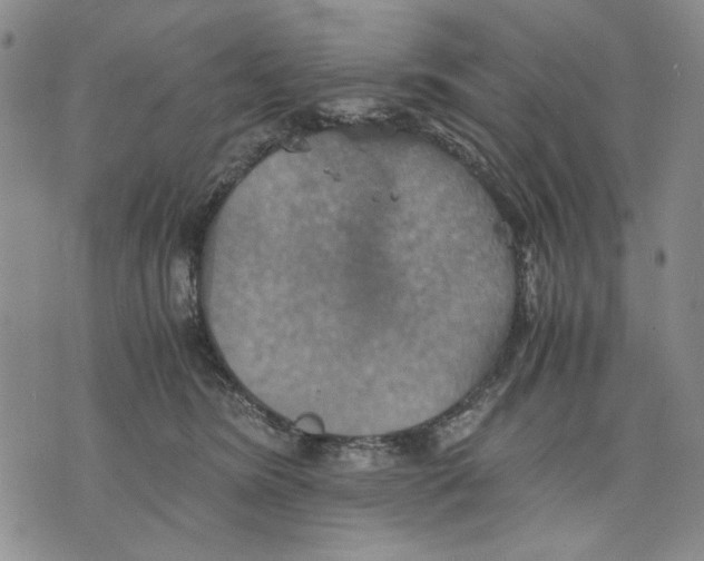 X0000075810420200610151435