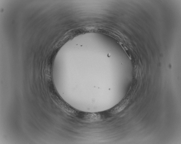 X0000075810421200610151435