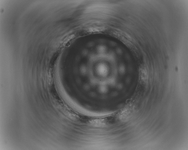 X0000075810422200610151435