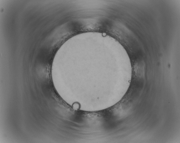 X0000075810423200610151435