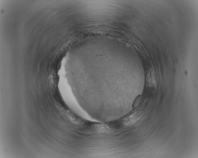 X0000075810424200610151434