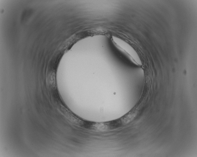 X0000075810425200610151434