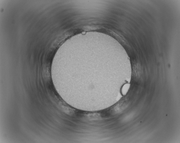 X0000075810426200610151434