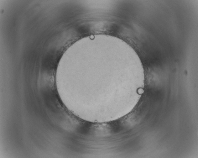 X0000075810427200610151434