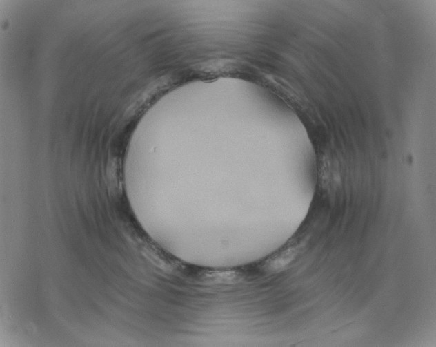 X0000075810428200610151434