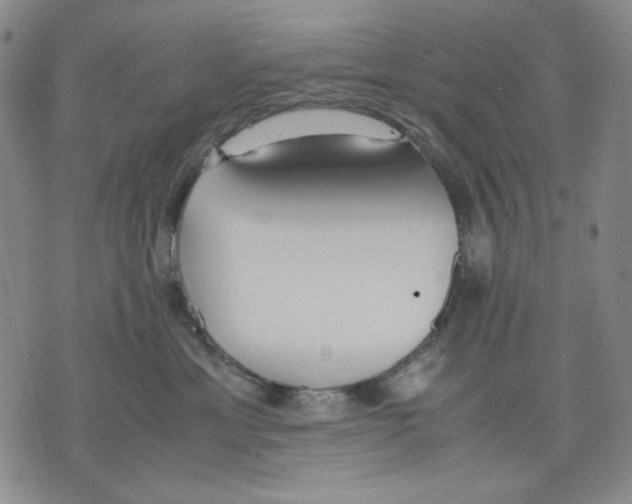 X0000075810429200610151434