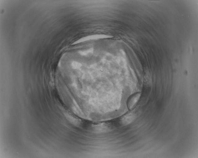 X0000075810430200610151434