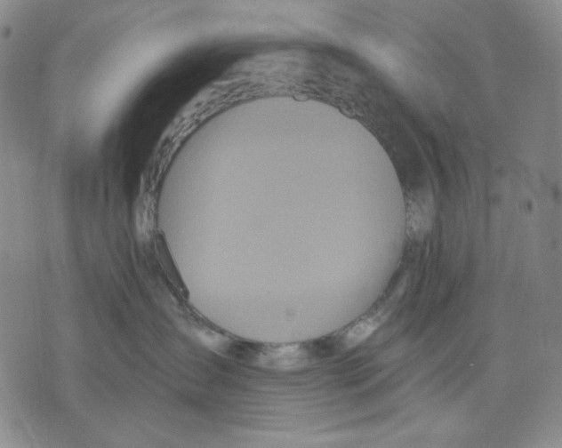 X0000075810431200610151434