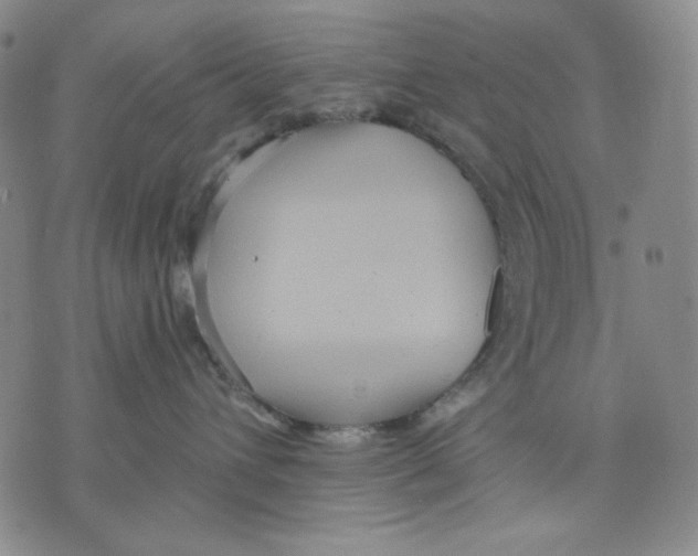 X0000075810432200610151434