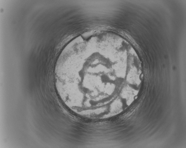 X0000075810433200610151433