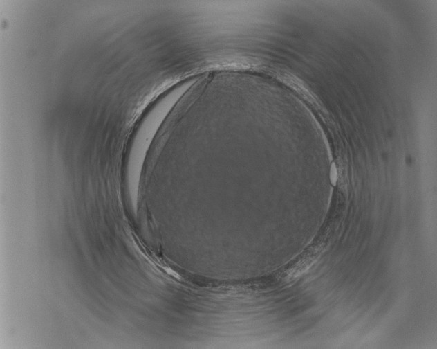 X0000075810434200610151433