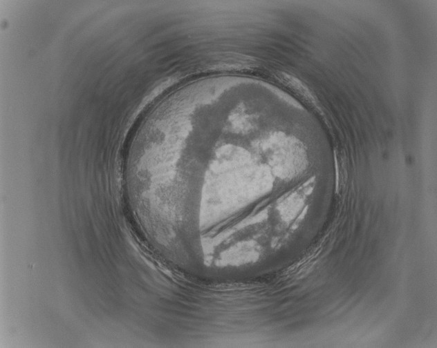 X0000075810435200610151434