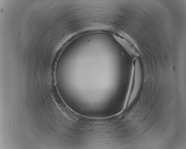 X0000075810436200610151434