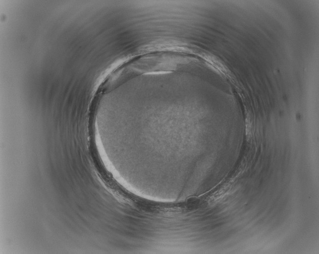 X0000075810438200610151434