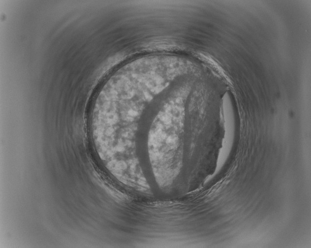 X0000075810439200610151434