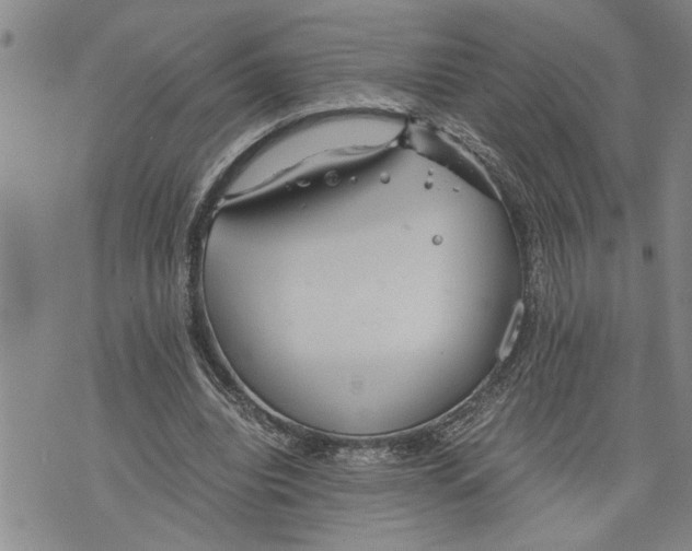 X0000075810440200610151434